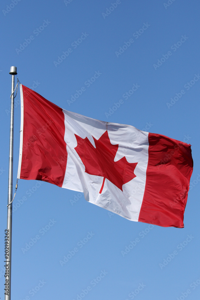 Naklejka premium Canadian Flag - Vancouver City, BC, Canada