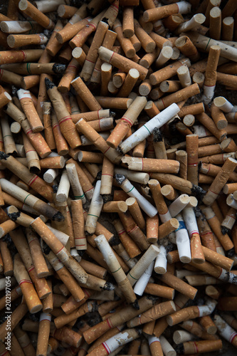 Top view Close up of Tobacco Cigarettes Background or texture pattern Cigarette butts and Smoking is bad for your health concept