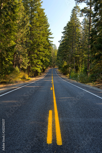 Middle of the Highway in Oregon © David Gn