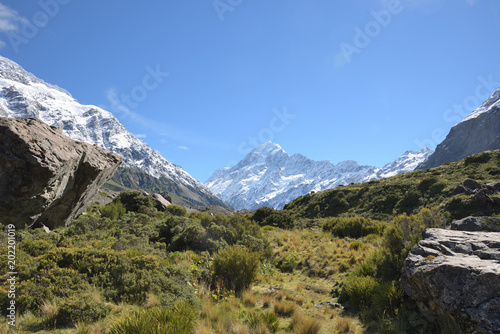 Mount Cook