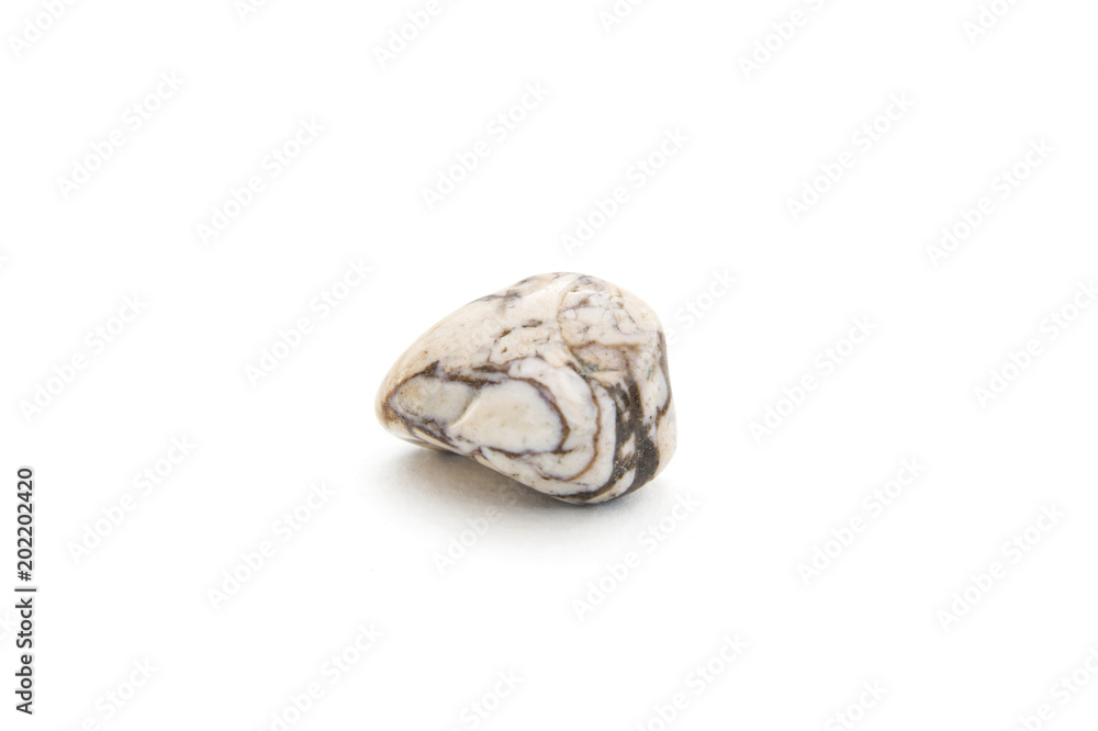 Obraz premium Zebra jasper mineral on the white background
