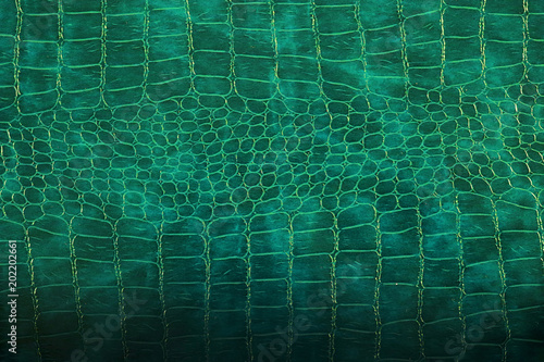Snake skine leather