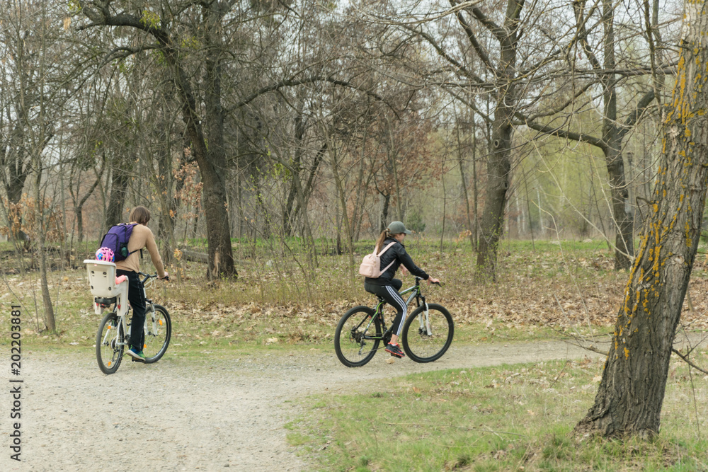 A couple of men and women ride bicycles through the park.