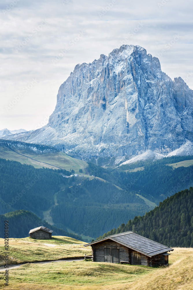 landscape of valley in the dolomites alps