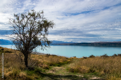 New Zealand Lake