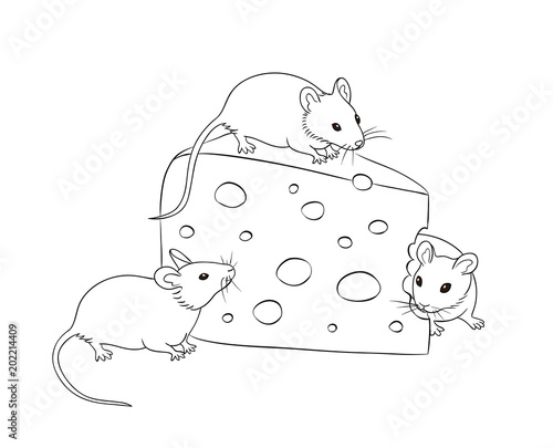 Three mice with a piece of cheese (in contours)