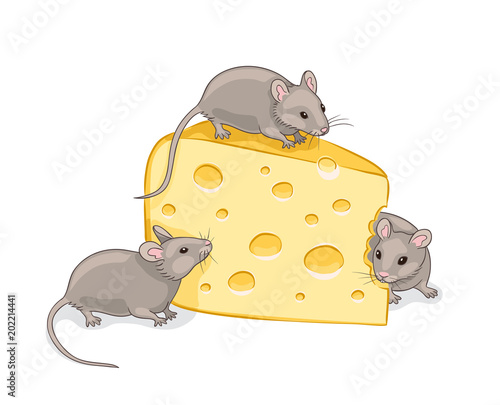 Three grey mice with a piece of cheese