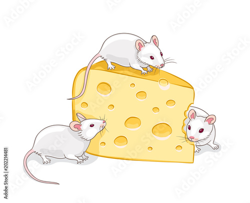 Three white mice with a piece of cheese
