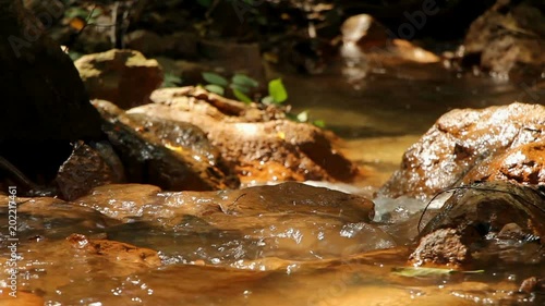  creek in the 