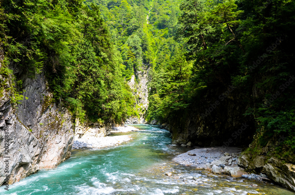 Obraz premium Kurobe Gorge Truck Train Unazuki Onsen, Kurobe City, Toyama Prefecture, Japonia