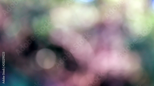Green blurred background.Spring backdrop.