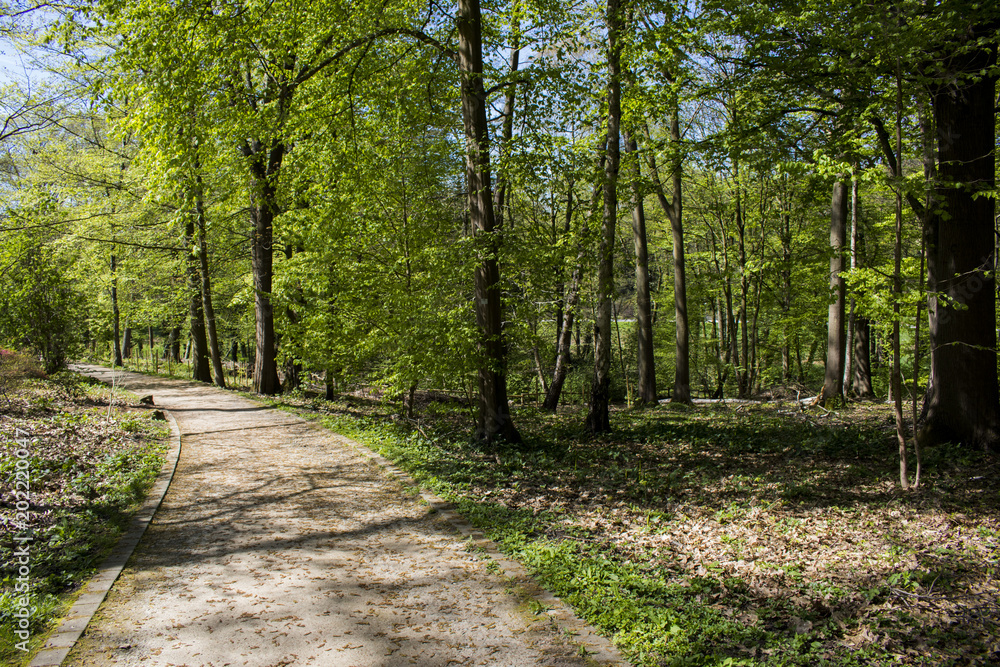 Path trough Romberg Park in Brünninghausen that is part of the European Garden Heritage Network Path trough Romberg Park in Brünninghausen that is part of the European Garden Heritage Network