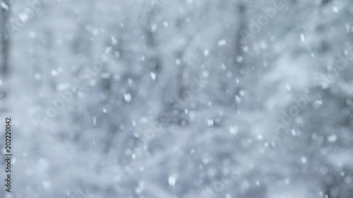 A heavy snowfall in New England with a forest blurred in the background.