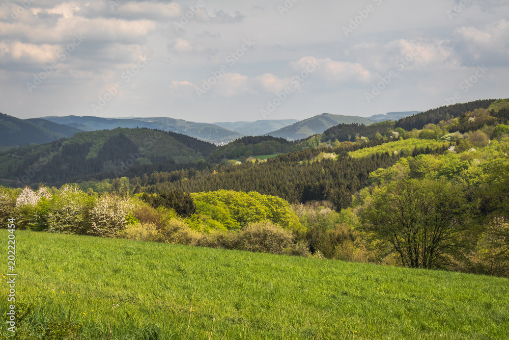 Plettenberg im Frühling