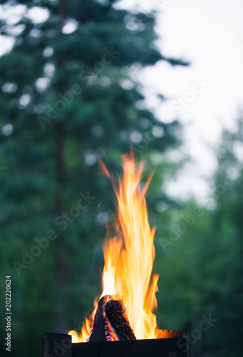 Campfire Flame Macro