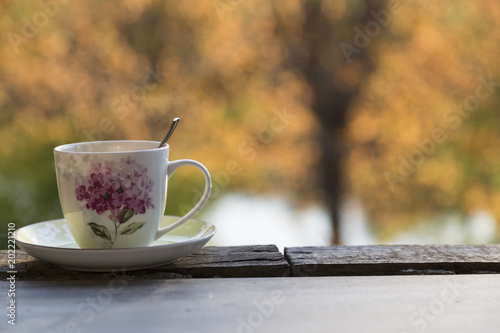 cup of tea by the lake . spring concept