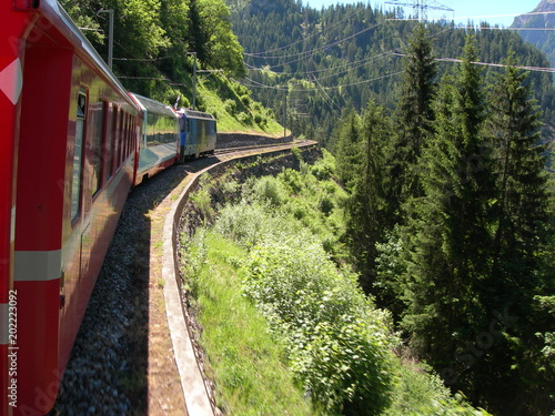 View from the Bernina Express train, Swiss