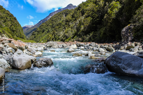 stream in New Zealand