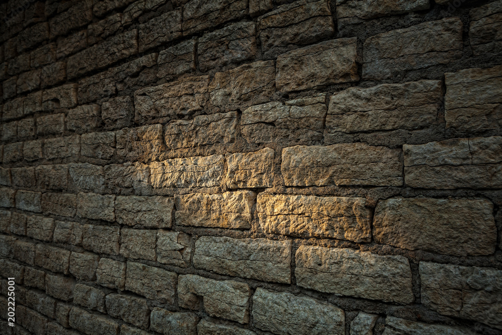 Fototapeta premium Stone wall