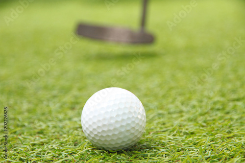 Golf ball on grass green putt in course