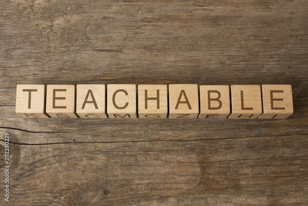 teachable word written on wooden toy cubes