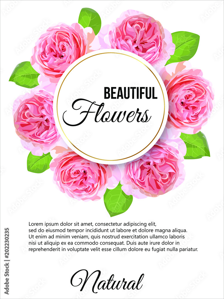 Vector floral banner card with pink hydrangeas, peonies in watercolor style.Greenery botanical template with text place for wedding invitation, greeting, covers, poligraphy, parfume,cosmetics, package Vector floral banner card with pink hydrangeas, peonies in watercolor style.Greenery botanical template with text place for wedding invitation, greeting, covers, poligraphy, parfume,cosmetics, package