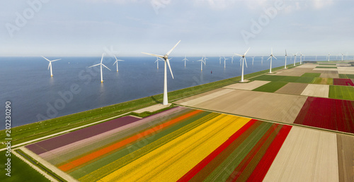 Aerial view of tulip fields and wind turbines in the Noordoostpolder municipality, Flevoland photo