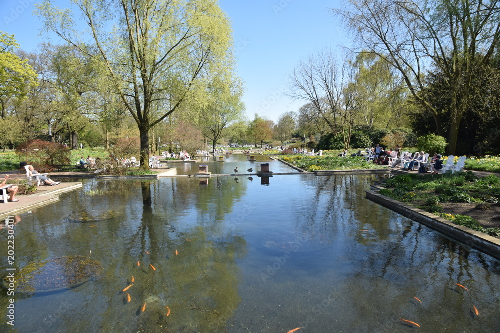 Fototapeta premium sunny day in hamburg with green water and nice nature