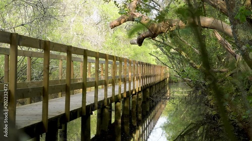 Wooden pathway in Lagoas de Bertiandos natural park, Ponte de Lima - Portugal. photo