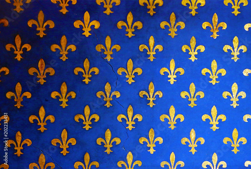 Blue wall with golden fleur de Lis, background photo