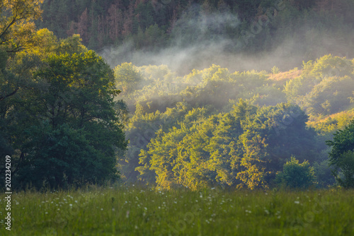 Dzhuryn river valley near famous waterfall, part of landscape park in Ukraine photo