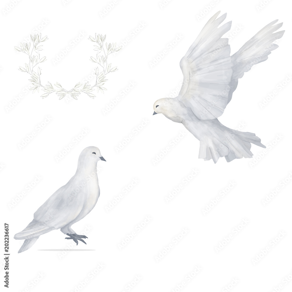 Fototapeta premium Pigeon clip art digital drawing watercolor bird fly flowers illustration similar on white background