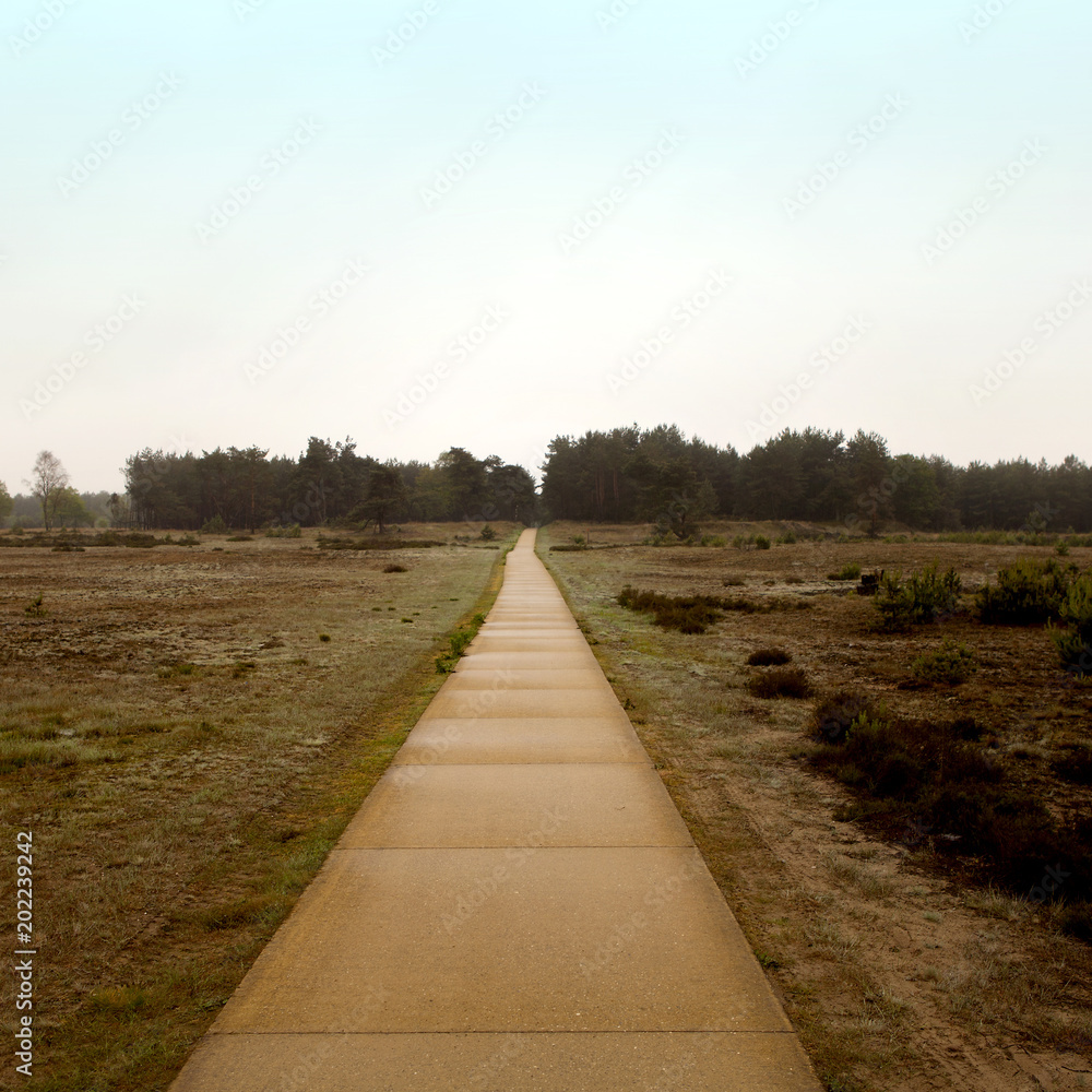 Fototapeta premium Empty road to nowhere