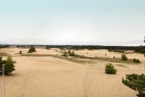 Big sand plain in the Netherlands