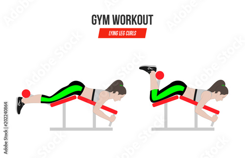 Lying leg curls. Sport exercises. Exercises in a gym. Illustration of an active lifestyle. Vector