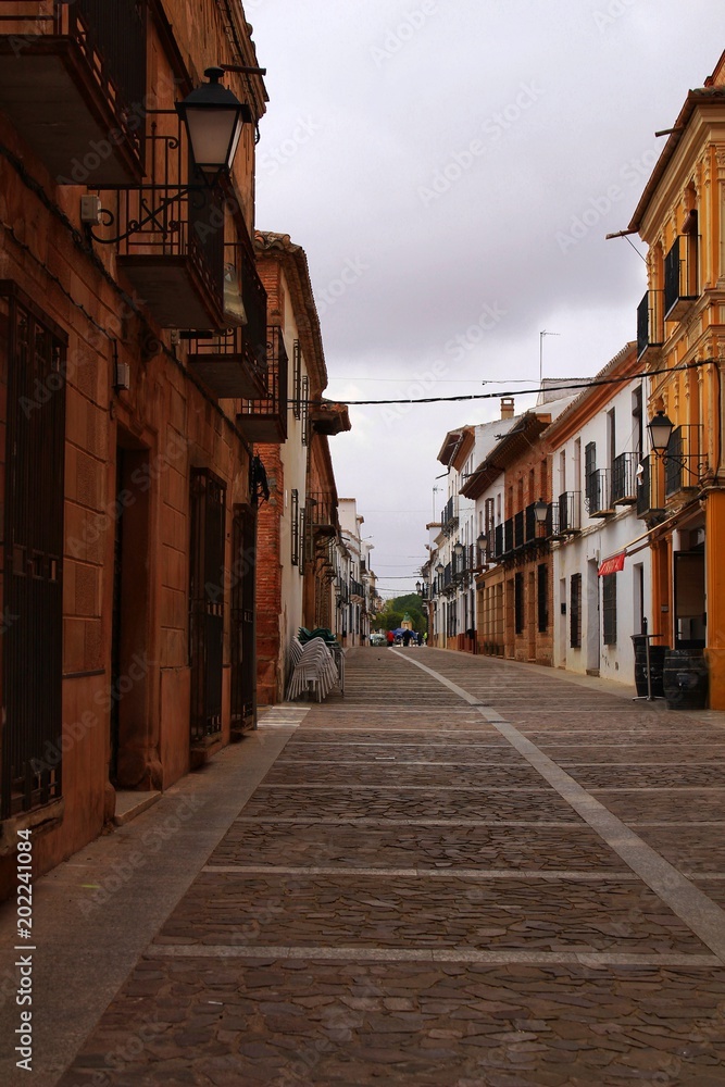Old and majestic houses in the streets of Villanueva de los Infantes village