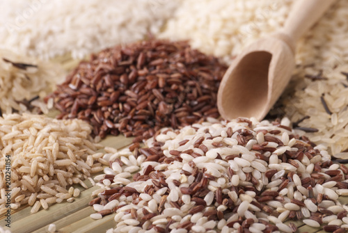 Various kinds of rice