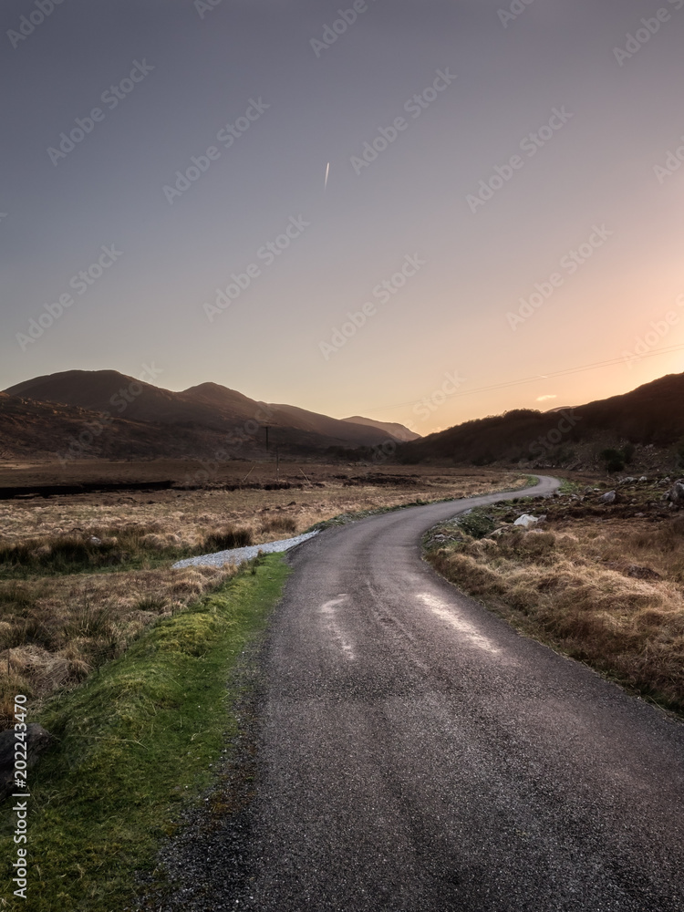 Fototapeta premium OLYMPUS DIGITAL CAMERA