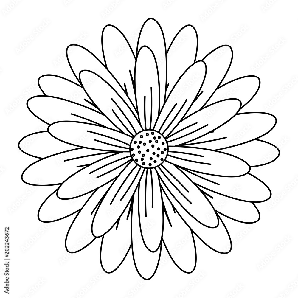 Obraz premium flower icon over white background, vector illustration