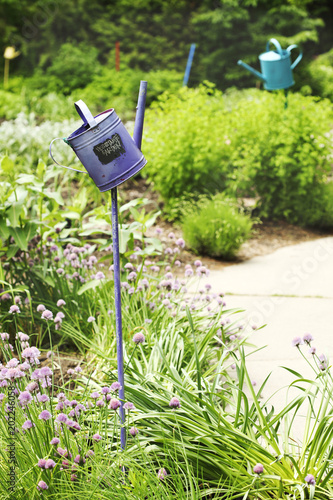 Purple watering can with the text Vegetable Garden in the summer garden
