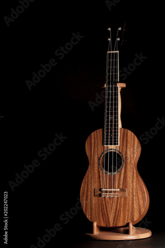 Traditional ukulele. Wooden Uke folk instrument on stand.