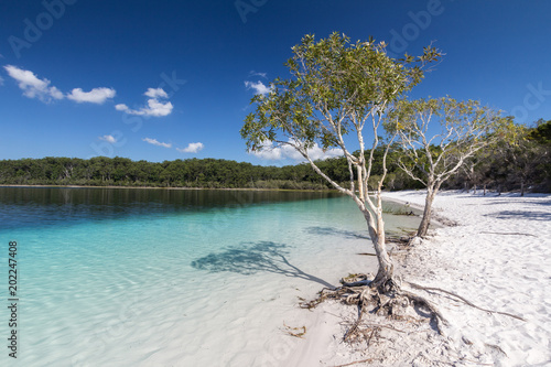 Mckenzie Lake, Fraser Island photo
