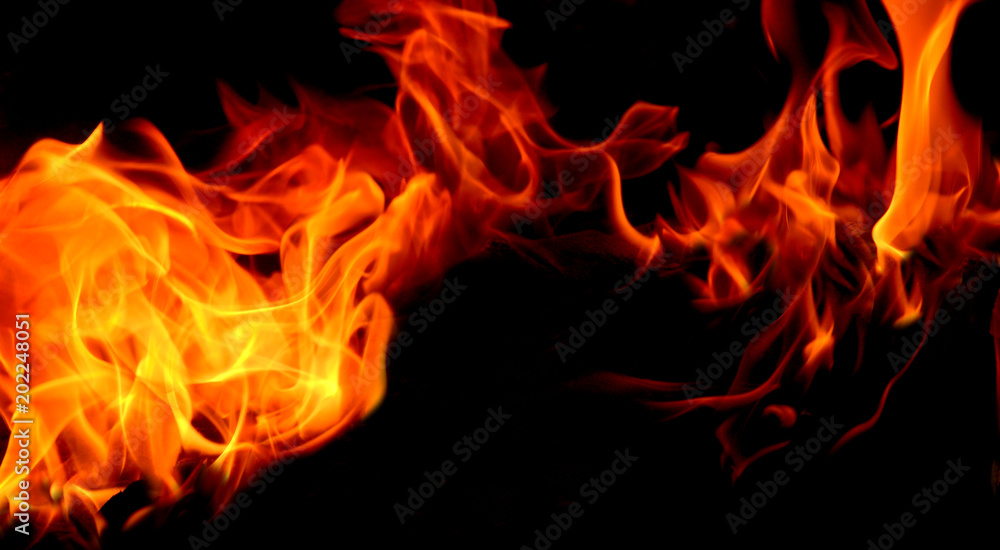 Closeup of fire flame and wood burning in fireplace. Closeup of fire flame and wood burning in fireplace.