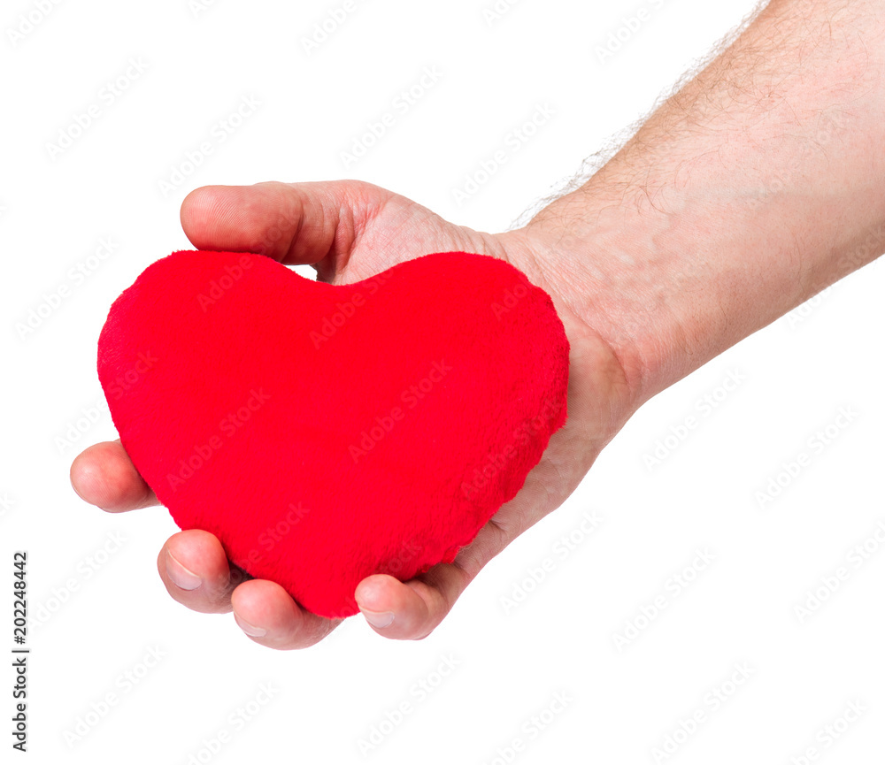 Obraz premium Man hand, holding red heart, giving to someone, isolated on white background