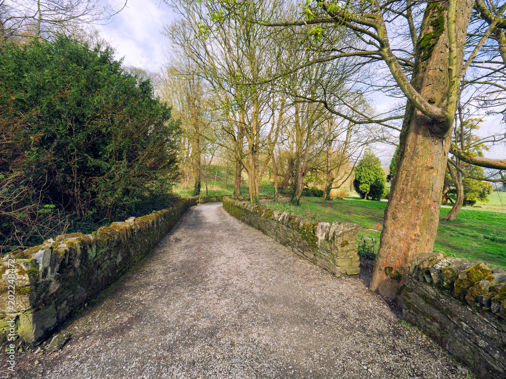 Fototapeta premium Spring forest park,Northern Ireland