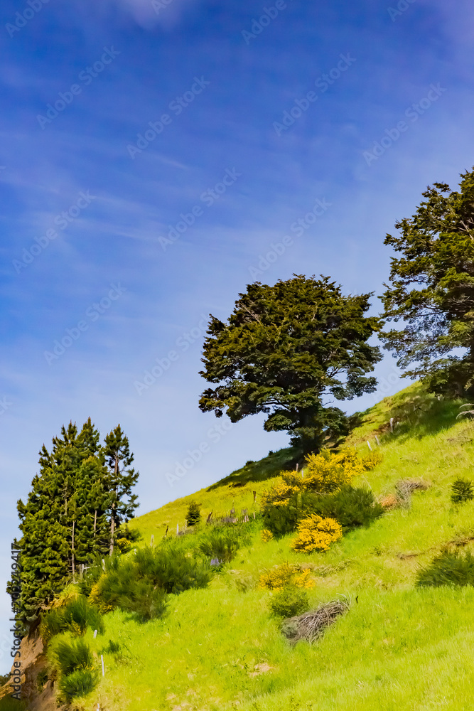 Obraz premium カラファテ