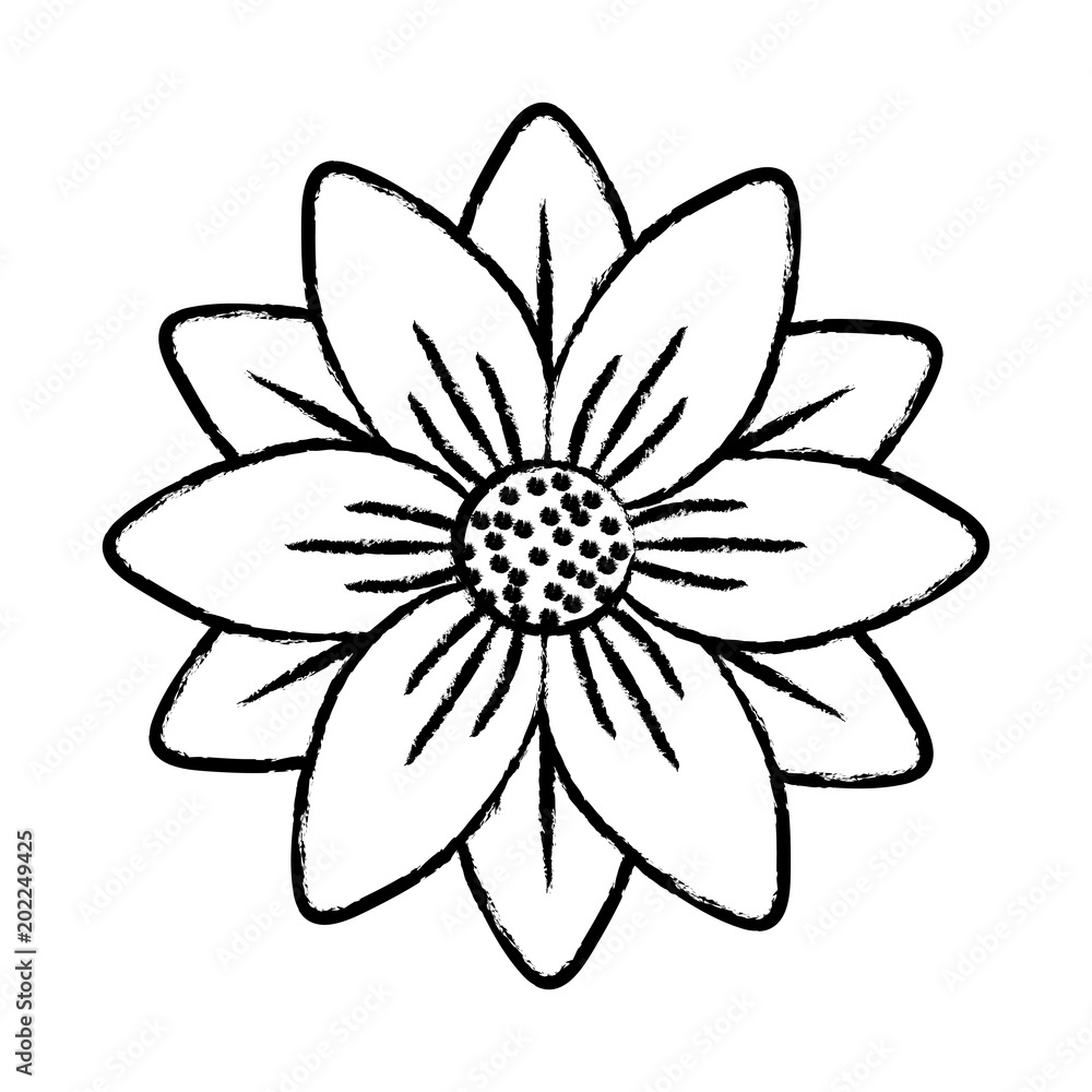 sketch of flower icon over white background, vector illustration sketch of flower icon over white background, vector illustration