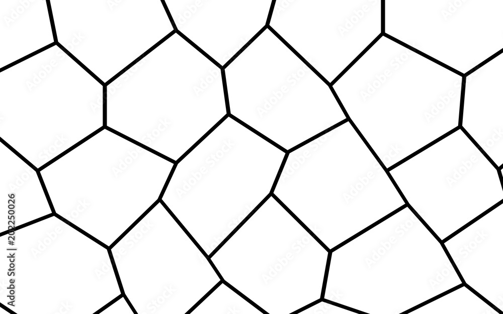 Black and White Irregular Mosaic Template Black and White Irregular Mosaic Template