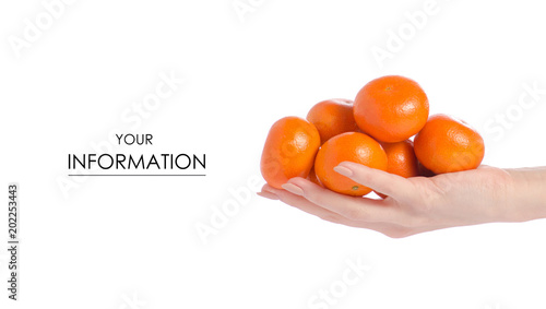 Mandarines in hands pattern