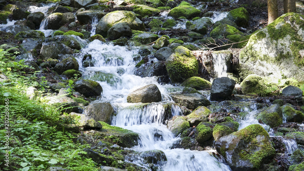Stream with stones flowing down from the mountains in the morning light Stream with stones flowing down from the mountains in the morning light
